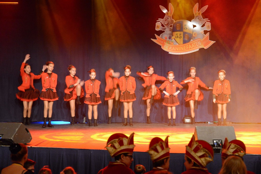 ../Images/Dansmarieke festival 2015 086.jpg